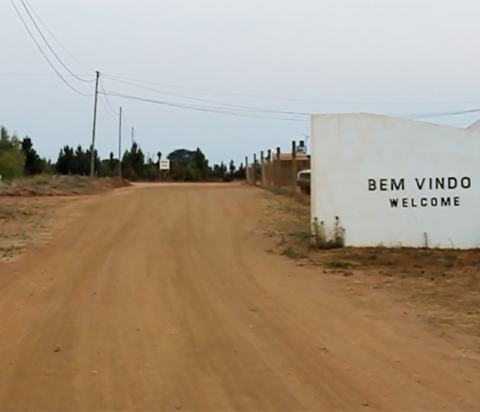 700x600_ellepot_Chikweti video.jpg