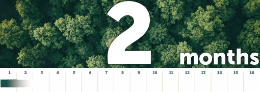 Ellepot Paper Decompose In 2 Months