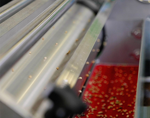 Ellepot Seeding lines