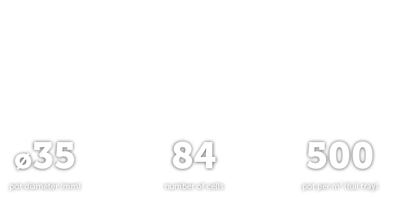 ES35084 V Tray Intro Text